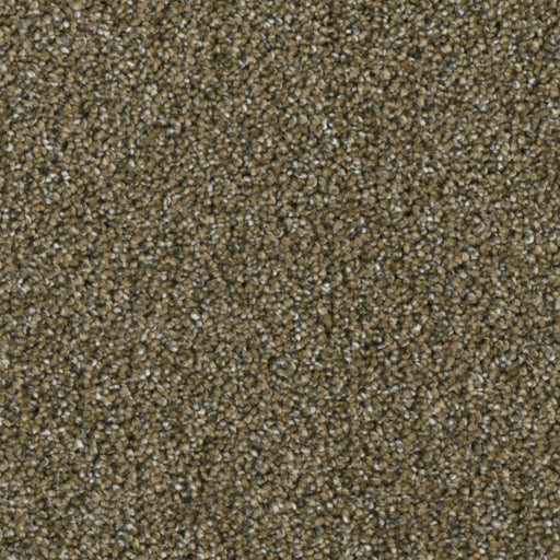 Primco - Estates Carpet - Grand Style Collection - Vision