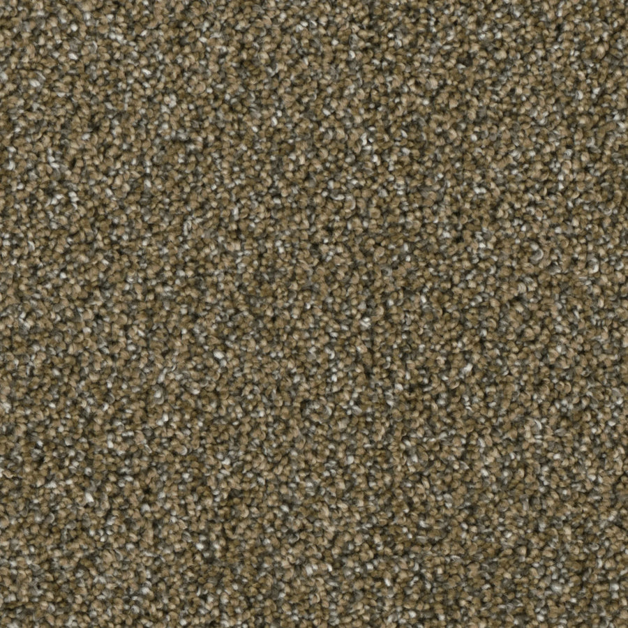 Primco - Estates Carpet - Grand Style Collection - Vision