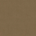 Shaw Floors - Carpet- Foundations Collection - Warmth