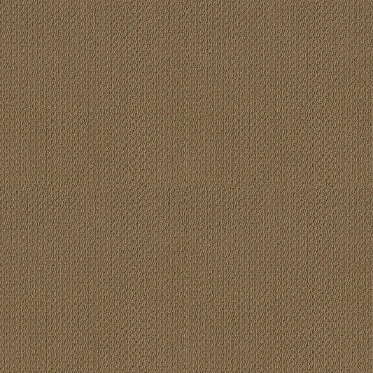 Shaw Floors - Carpet- Foundations Collection - Warmth