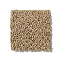 Shaw Floors - Carpet- Foundations Collection - Warmth