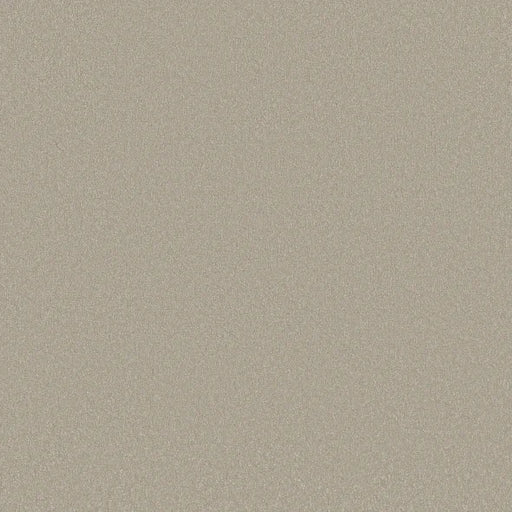 Shaw Floors - Carpet - Classics Collection  - Awaken Spirit II - 12' - Whiskers