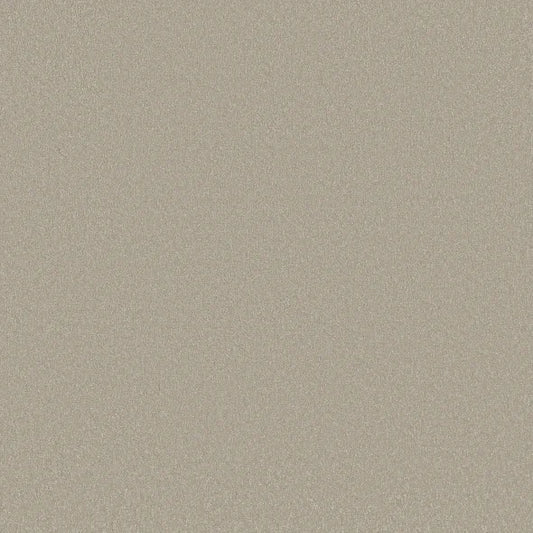 Shaw Floors - Carpet - Classics Collection  - Awaken Spirit II - 15' - Whiskers