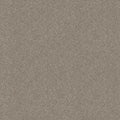 Shaw Floors - Carpet - Simply The Best  - Attainable - Winter Dunes