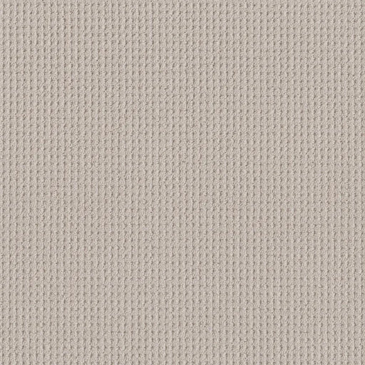 Shaw Floors - Carpet - Foundations Collection - Faint Intent - Winters Dawn