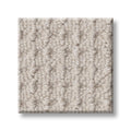 Shaw Floors - Carpet - Foundations Collection - Faint Intent - Winters Dawn