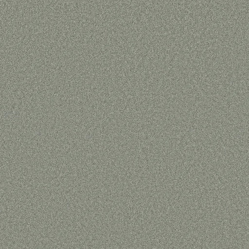 Shaw Floors - Carpet- Foundations Collection - HARMONIOUS II - Water's Edge