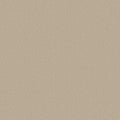 Shaw Floors - Carpet - Classics Collection  - Awaken Spirit II - 15' - Windfresh