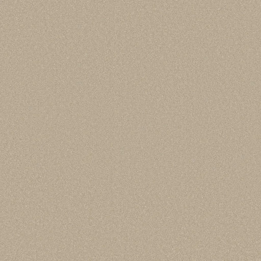 Shaw Floors - Carpet - Classics Collection  - Awaken Spirit I 12' - Windfresh