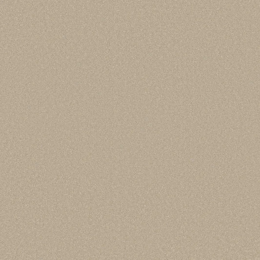 Shaw Floors - Carpet - Classics Collection  - Awaken Spirit II - 15' - Windfresh