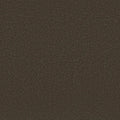 Shaw Floors - Carpet - Classics Collection  - Awaken Spirit II - 15' - Wood Grain