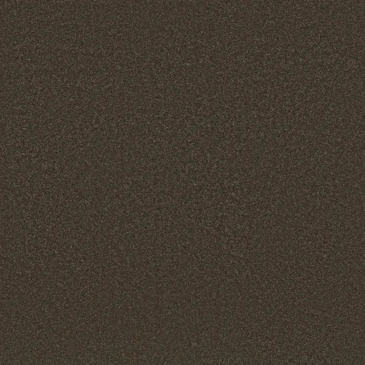 Shaw Floors - Carpet - Classics Collection  - Awaken Spirit II - 15' - Wood Grain