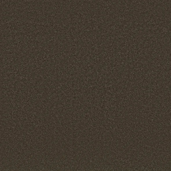 Shaw Floors - Carpet - Classics Collection  - Awaken Spirit II - 15' - Wood Grain