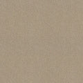 Shaw Floors - Carpet - COMFORTING I - Wild Rice