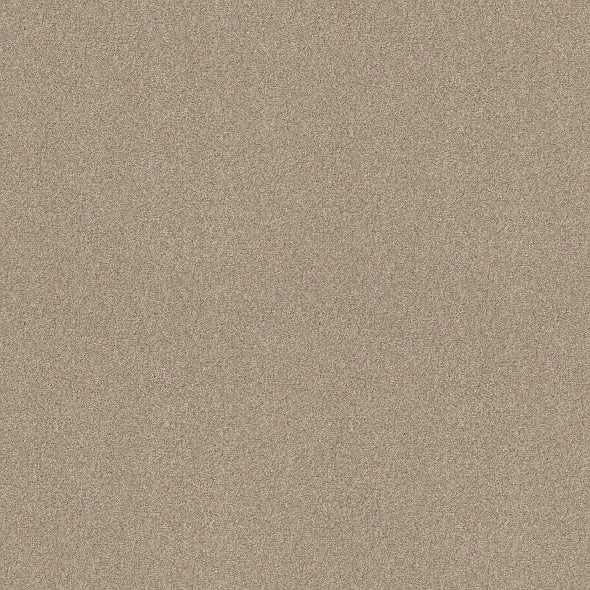 Shaw Floors - Carpet - COMFORTING I - Wild Rice