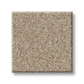 Shaw Floors - Carpet - COMFORTING I - Wild Rice