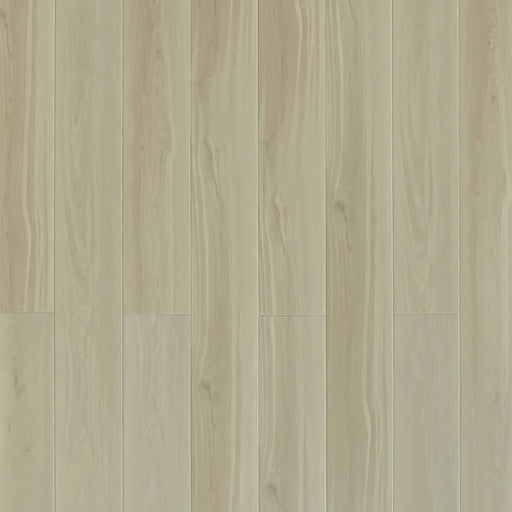 Toucan - SPC912 - Windstorm