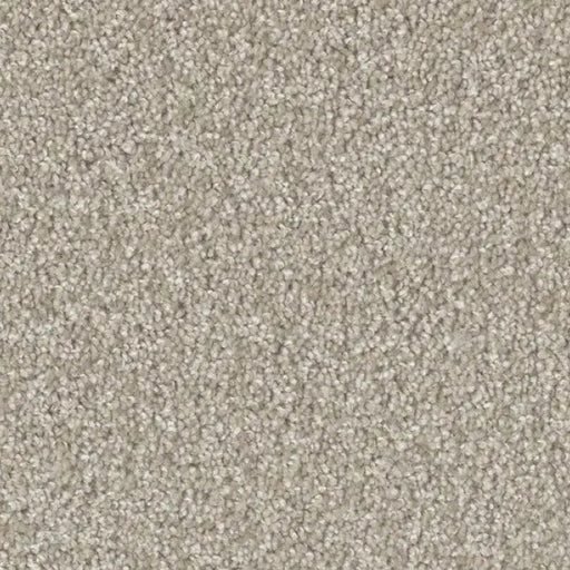 ACORN DESIGN - PACIFIC RIM COLLECTION - 24OZ CUT PILE CARPET - WOODLAND