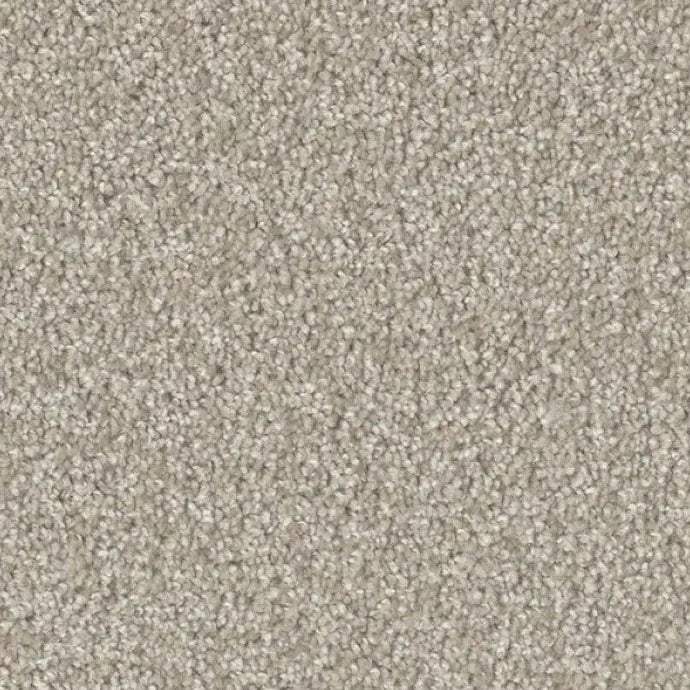 ACORN DESIGN - PACIFIC RIM COLLECTION - 24OZ CUT PILE CARPET - WOODLAND