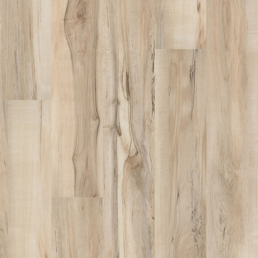 MSI Surfaces - Cyrus® 2.0TM - Akadia