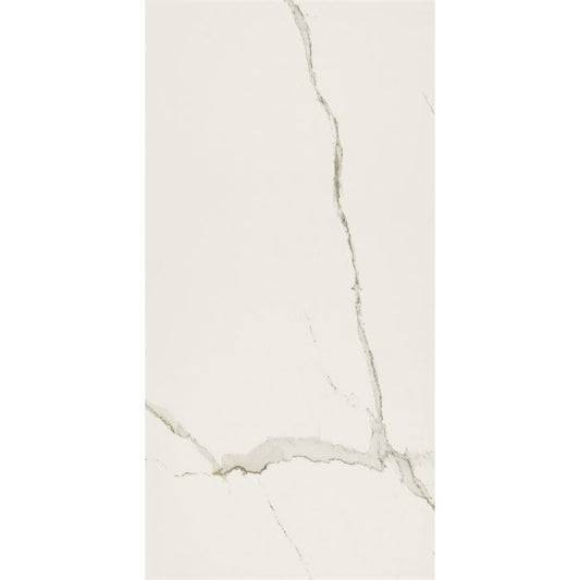 OLYMPIA TILE + STONE - Everlast Series - Porcelain Tile - Albatros - 24" x 24"