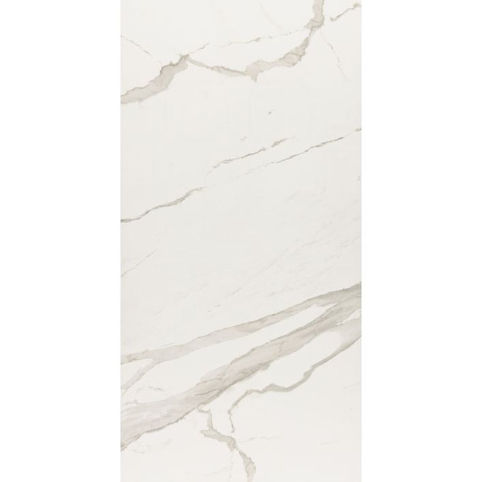 OLYMPIA TILE + STONE - Everlast Series - Porcelain Tile - Albatros - 47" x 94"