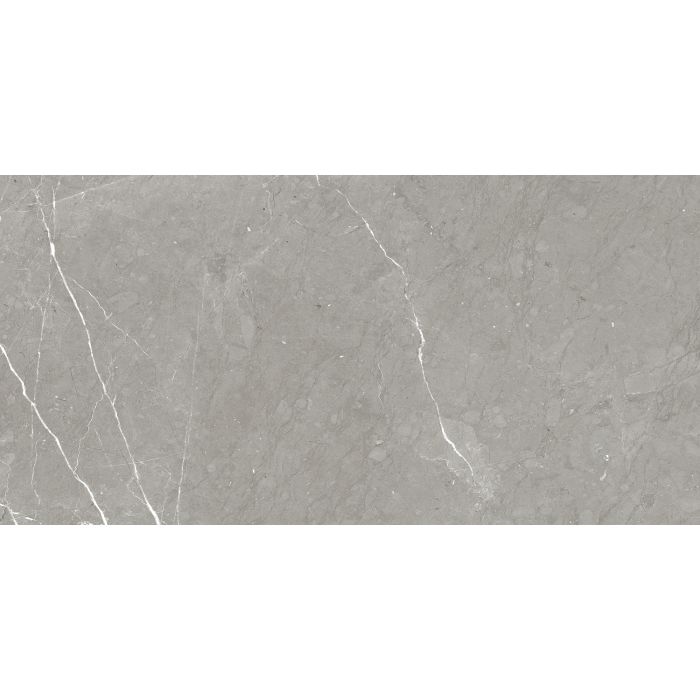 OLYMPIA TILE + STONE - Rhapsody Series - Porcelain Tile - Allure - 24" x 48"