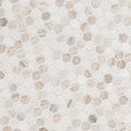 MSI - Natural Stone Collection - Angora Tibi Polished - 1"