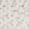 MSI - Natural Stone Collection - Angora Tibi Polished - 1"