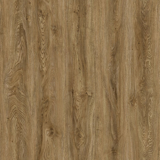 MSI Surfaces - Ashton™ Collection - Colston Park