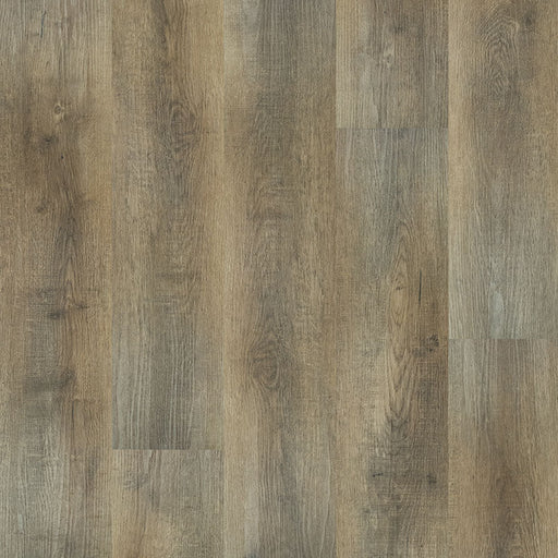 MSI Surfaces - Ashton™ Collection - Maracay Brown