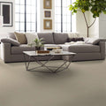 Shaw Floors - Carpet- Foundations Collection - Smart Thinking - Safari