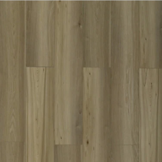 Toucan - TFL624 - Autumn Glow