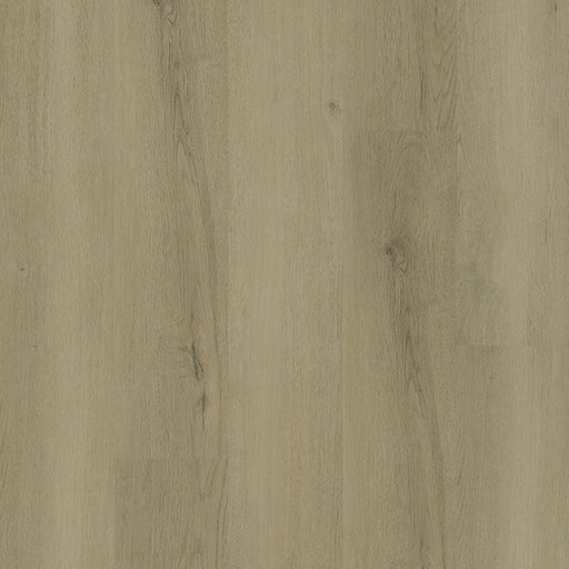 MSI Surfaces - Ashton 2.0 ™ Collection - Benton Blonde