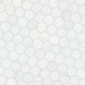 MSI - Bianco Dolomite Collection - 2" Hexagon - Polished Finish