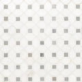 MSI - Bianco Dolomite Collection - Dotty - Polished Finish