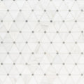 MSI - Bianco Dolomite Collection - Pinwheel - Polished Finish