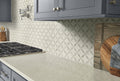 MSI - Bianco Dolomite Collection - Starlite - Polished Finish