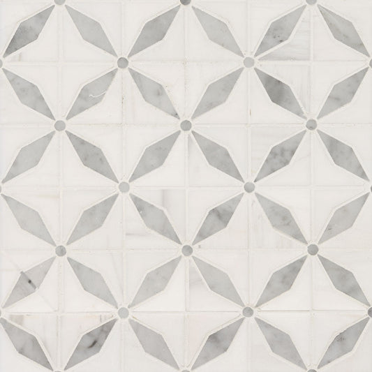 MSI - Bianco Dolomite Collection - Starlite - Polished Finish