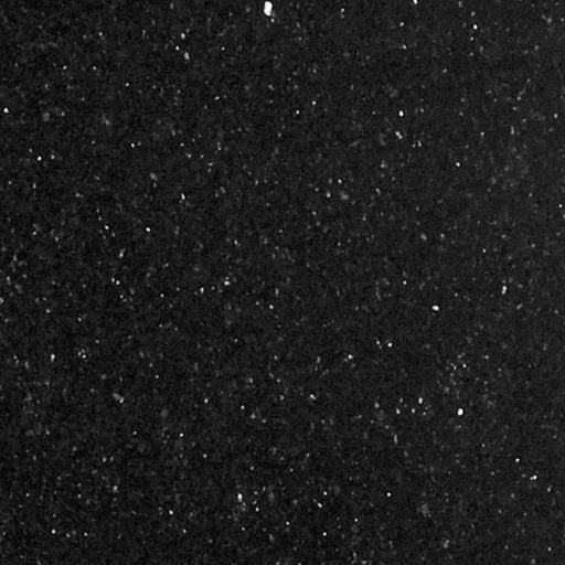 OLYMPIA TILE + STONE - Granite Series - Tile - Black Galaxy - 12" x 12"