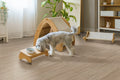 MSI - Wilmont Collection - Bleached Elm - 7" x 48"