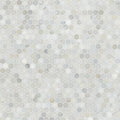 MSI - Calacatta Gold 1” Hexagon Mosaic Tile - 1"
