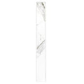 MSI - REGALLO CALACATTA ISLA  BULLNOSE POLISHED - Tile - 3" x 24"