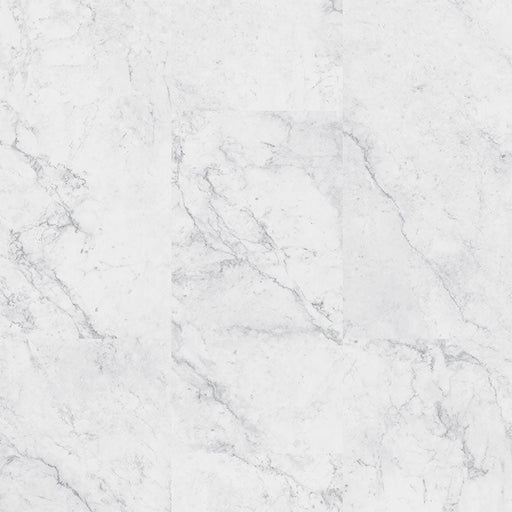 MSI Surfaces -  Trecento® Collection - Carrara Avell