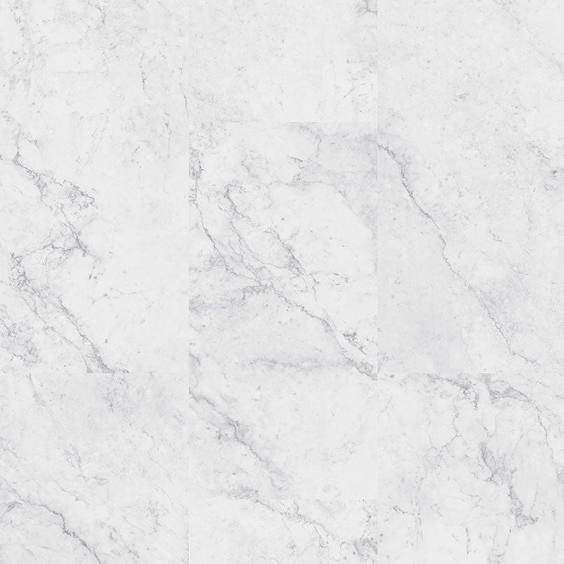 MSI Surfaces -  Trecento® Collection - Carrara Avell