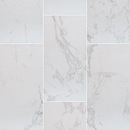 MSI - PRAIA CARRARA  MATTE - Tile - 24" x 48"