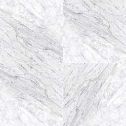 MSI - CARRARA WHITE (C)  HONED - Tile - 12" x 12"