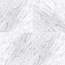 MSI - CARRARA WHITE (C) - Tile - 18" x 18"