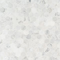 MSI - Carrara White 2" Hexagon Honed - Tile - PATTERN