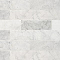 MSI - CARRARA WHITE  HONED - Tile - 4" x 12"